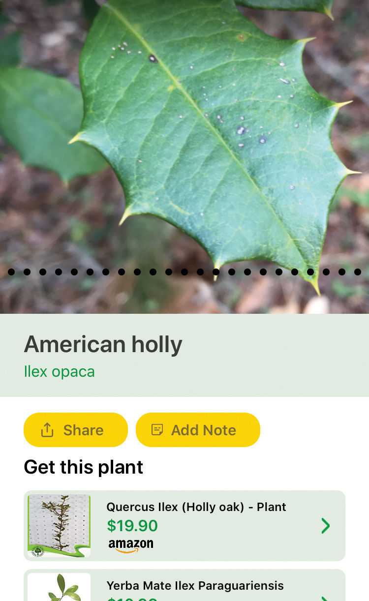 Plant ID app sample screenshot